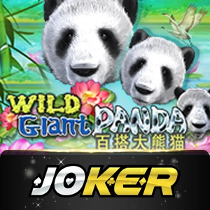 Joker123 - honeyslot777

