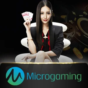 microgaming-casino - honeyslot777