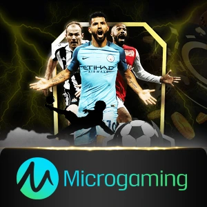 microgaming - honeyslot777