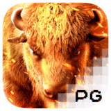 RTP pgsoft honeyslot777
