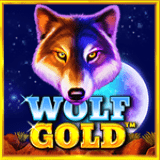 RTP pragmatic honeyslot777