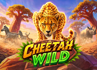 Cheetah Wild - HONEYSLOT777